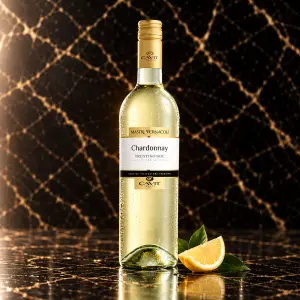 Italienische Weißwein 0.75 L gekühlt bei Don Roberto Graz